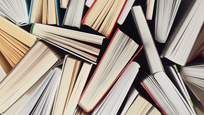 Ausstellungsspektrum